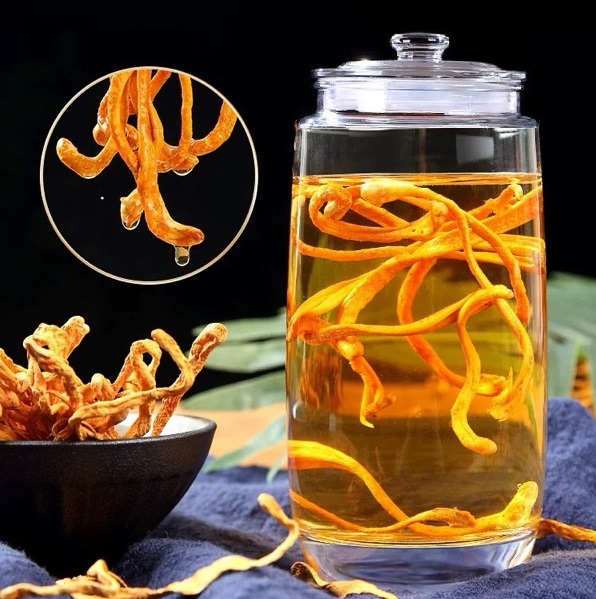 Rượu Đông trùng hạ thảo